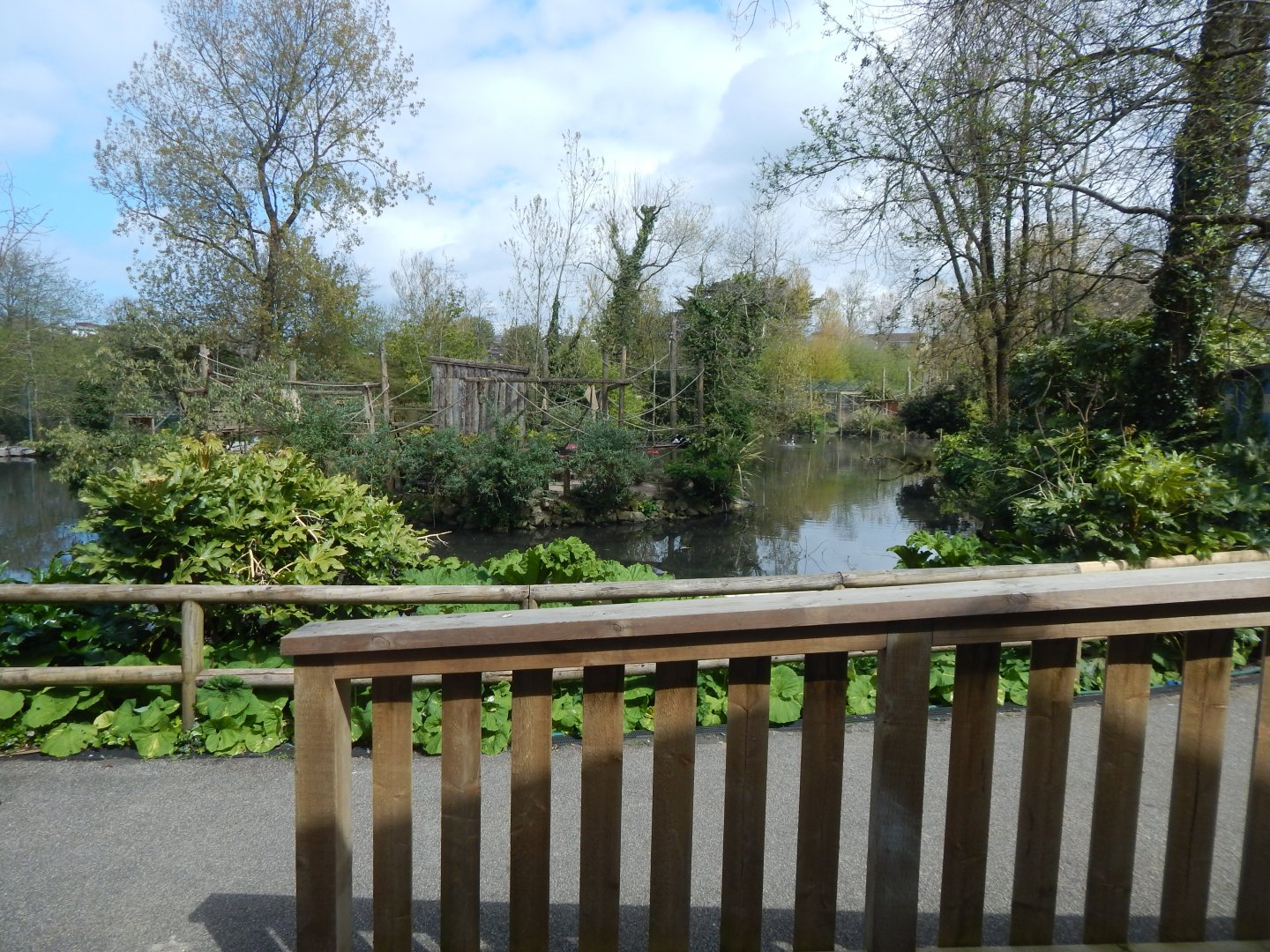 View towards Black and white ruffed lemur island 240424