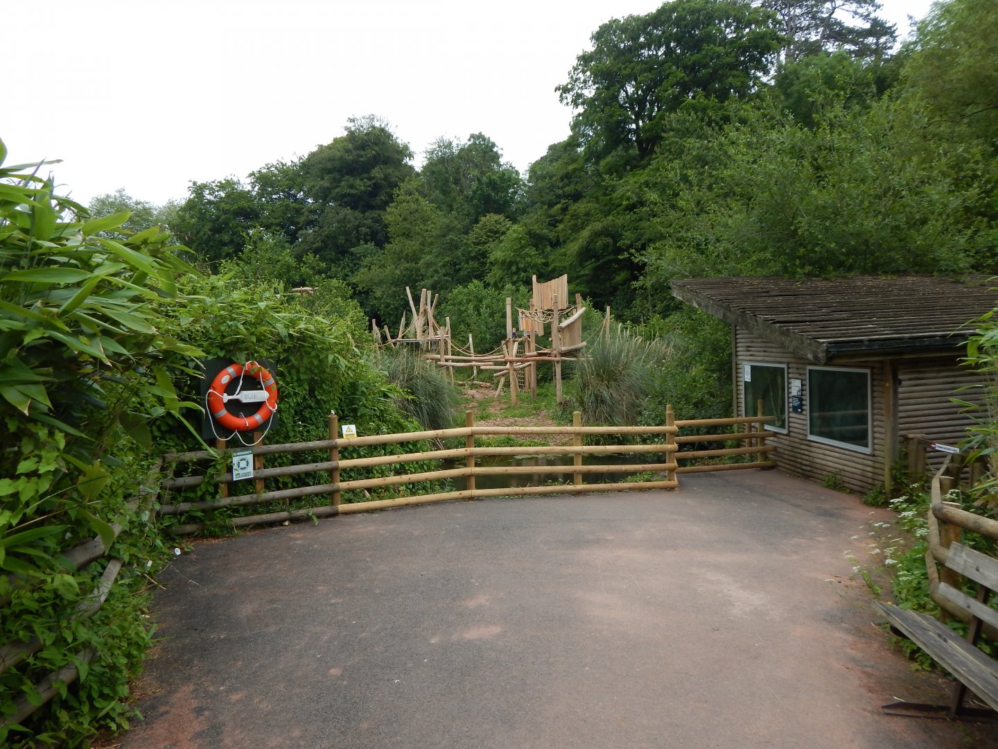 View towards Bornean orangutan/Pied tamarin exhibits 130624