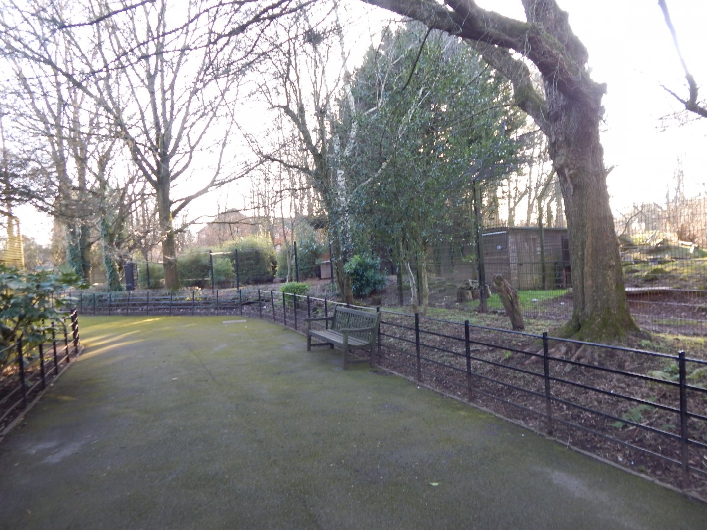 View towards Bush dog enclosure and Northern lynx enclosure 260124