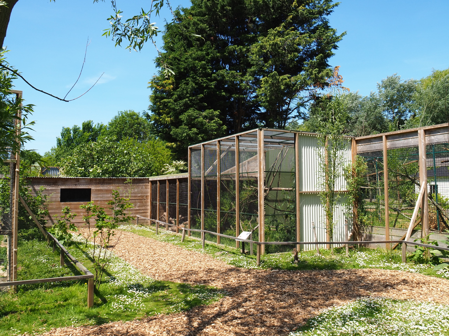 View towards Cape genet exhibit, 2019-06-01