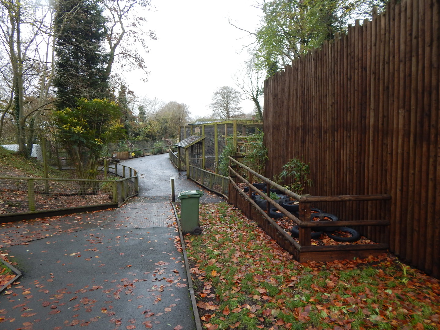 View towards Carpathian lynx enclosure 241122