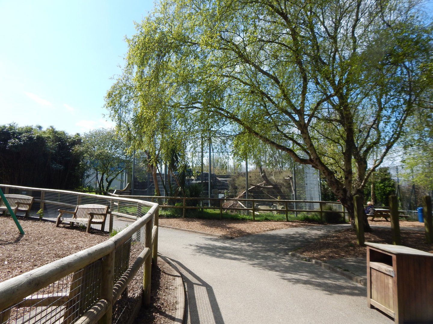 View towards Carpathian lynx exhibit 240424