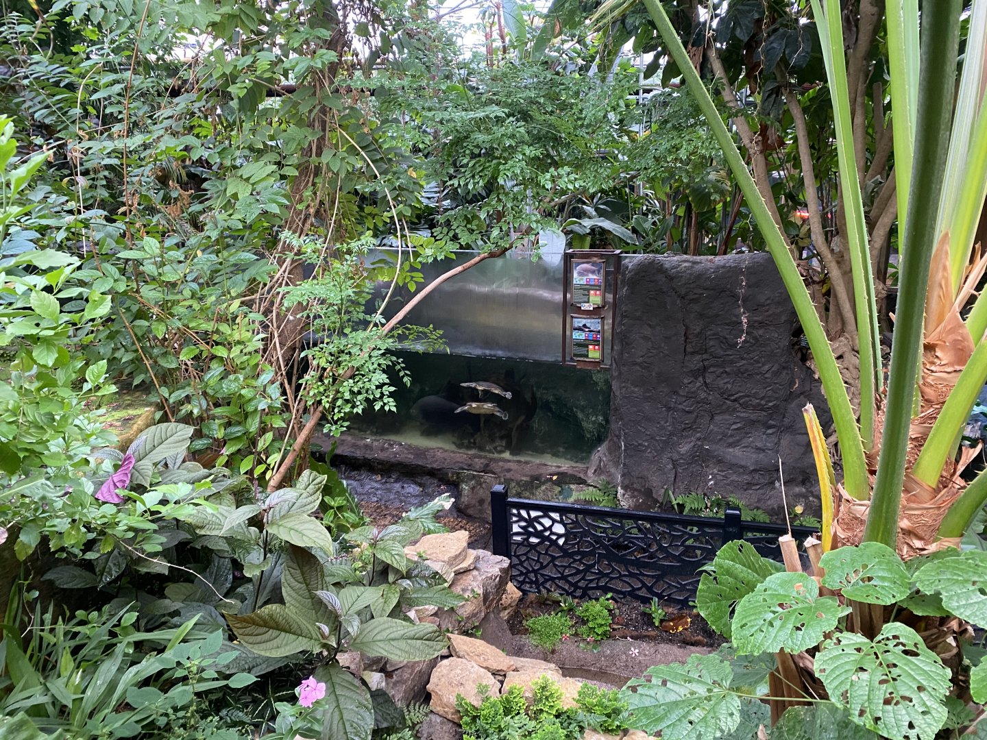 View towards centre aquatic exhibit 050924