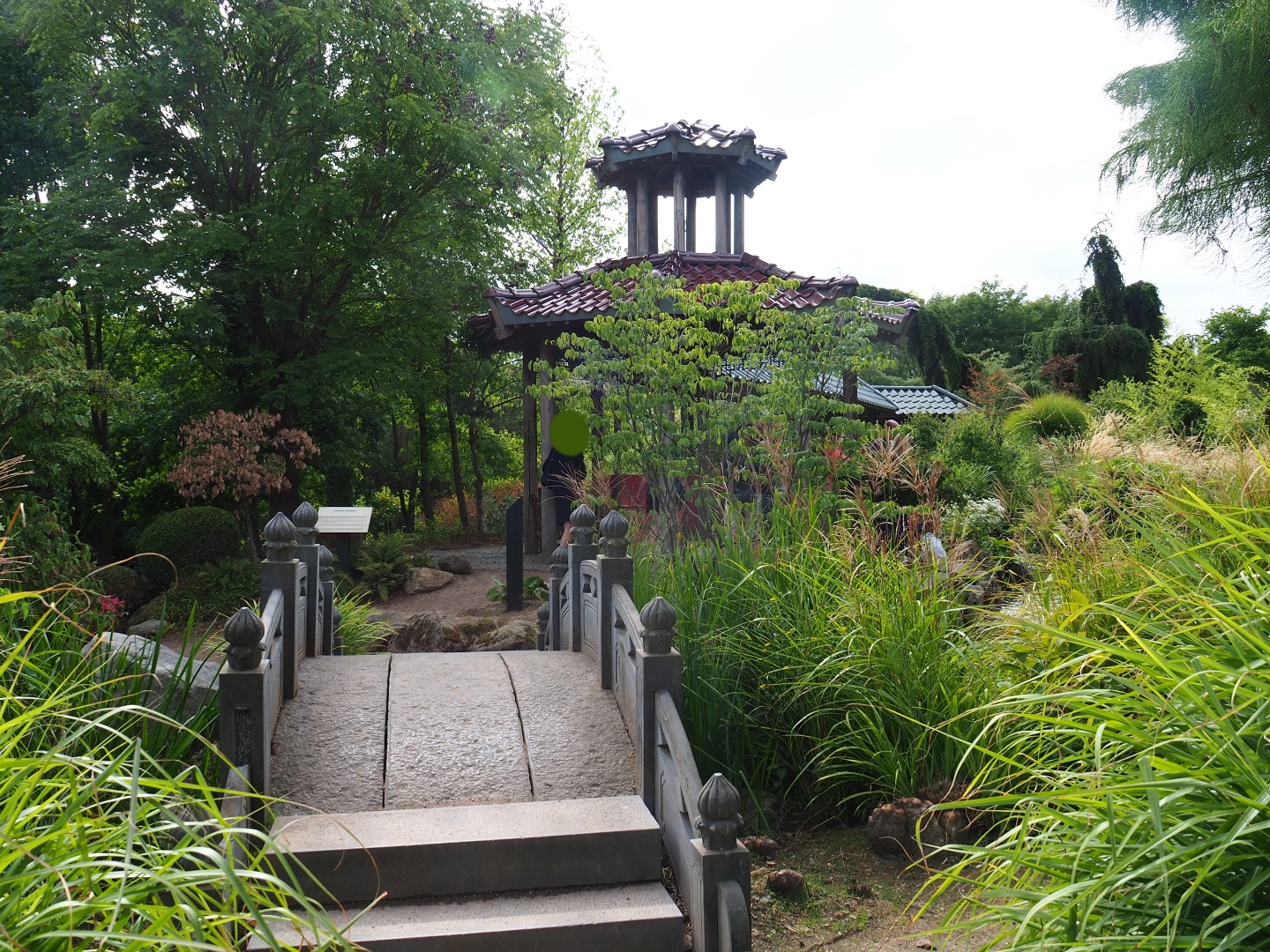 View towards Chinese garden with pond and gazebo (Aug 28th, 2018)