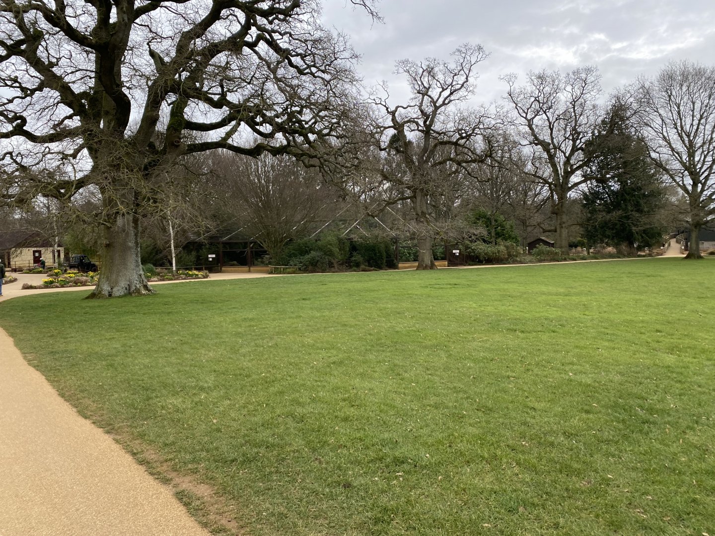 View towards Clouded leopard enclosure 280222
