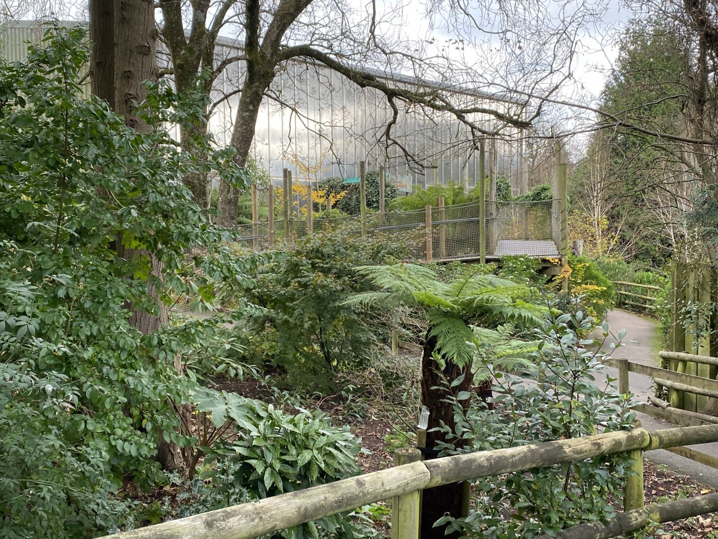 View towards Crocodile Swamp 201121