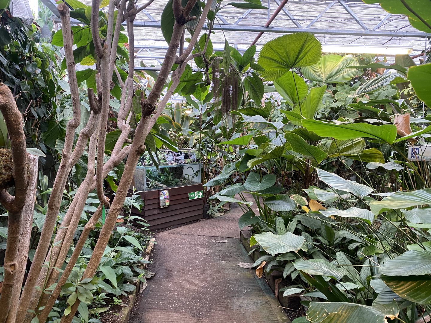View towards dart frog exhibit 050924