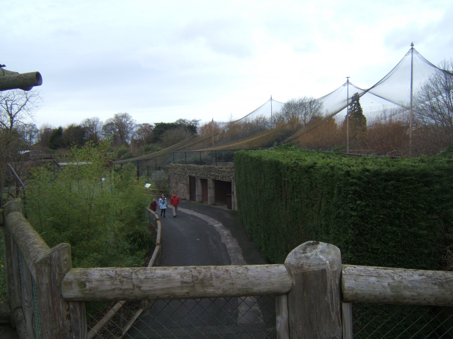 View towards Dragons in Danger form raised Sun Bear viewing platform