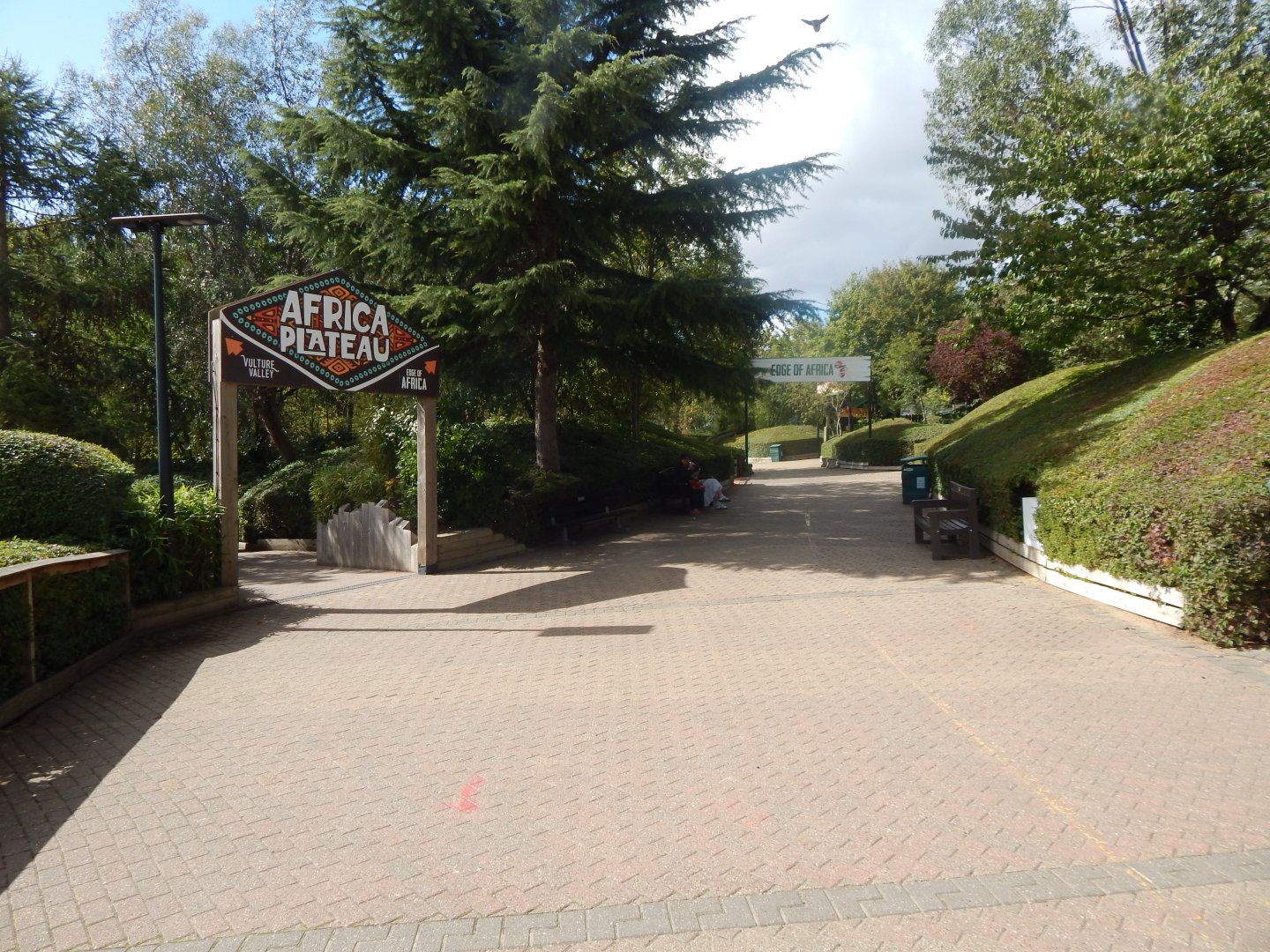 View towards Edge of Africa 110925