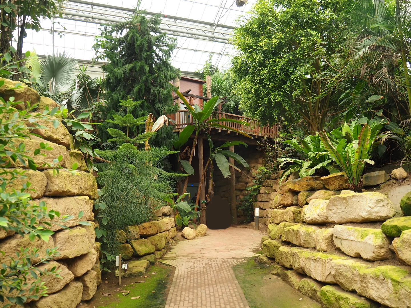 View towards elevator shack (Aug 28th, 2018)