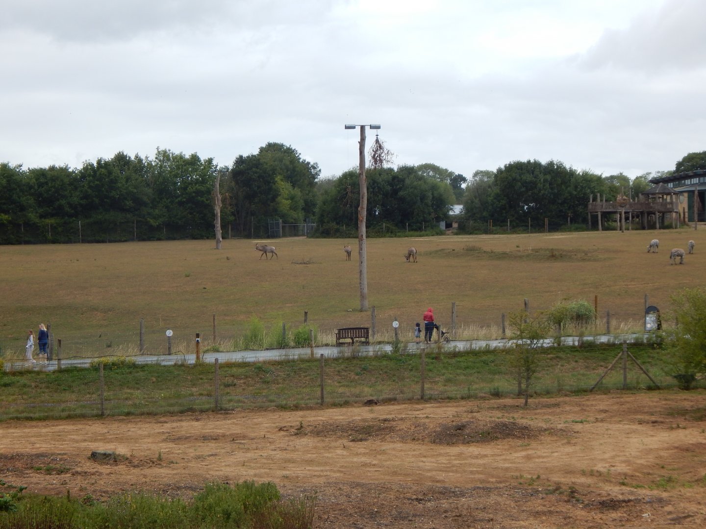 View towards enclosure for Giraffes, Roan antelope, Plains zebra 150725