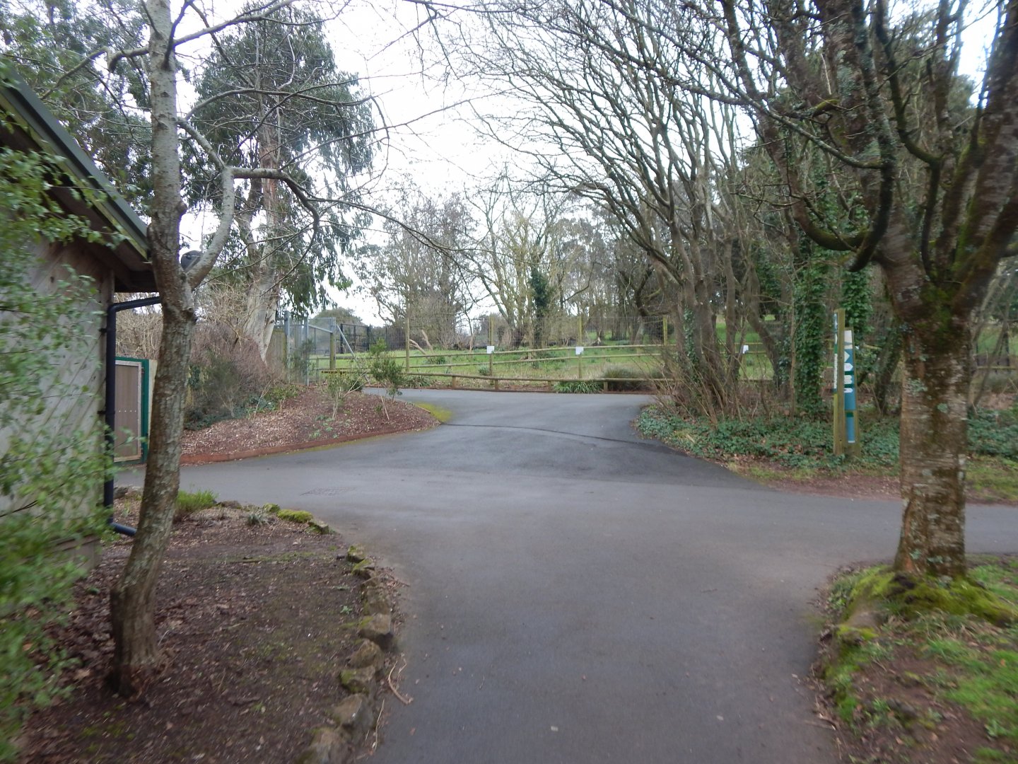 View towards enclosure for Swamp wallabies/Western grey kangaroos 050224