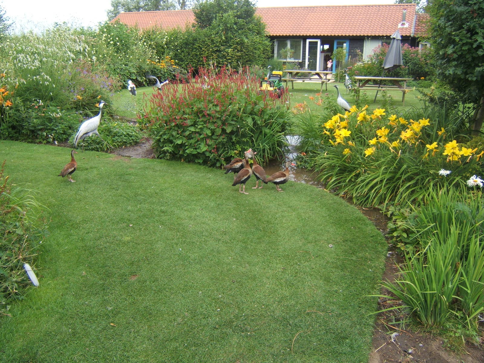 View towards entrance building