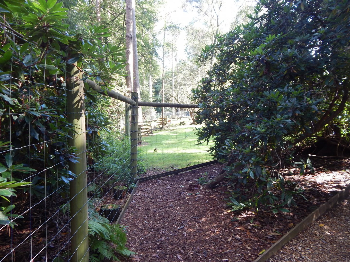 View towards European mouflon habitat 130924