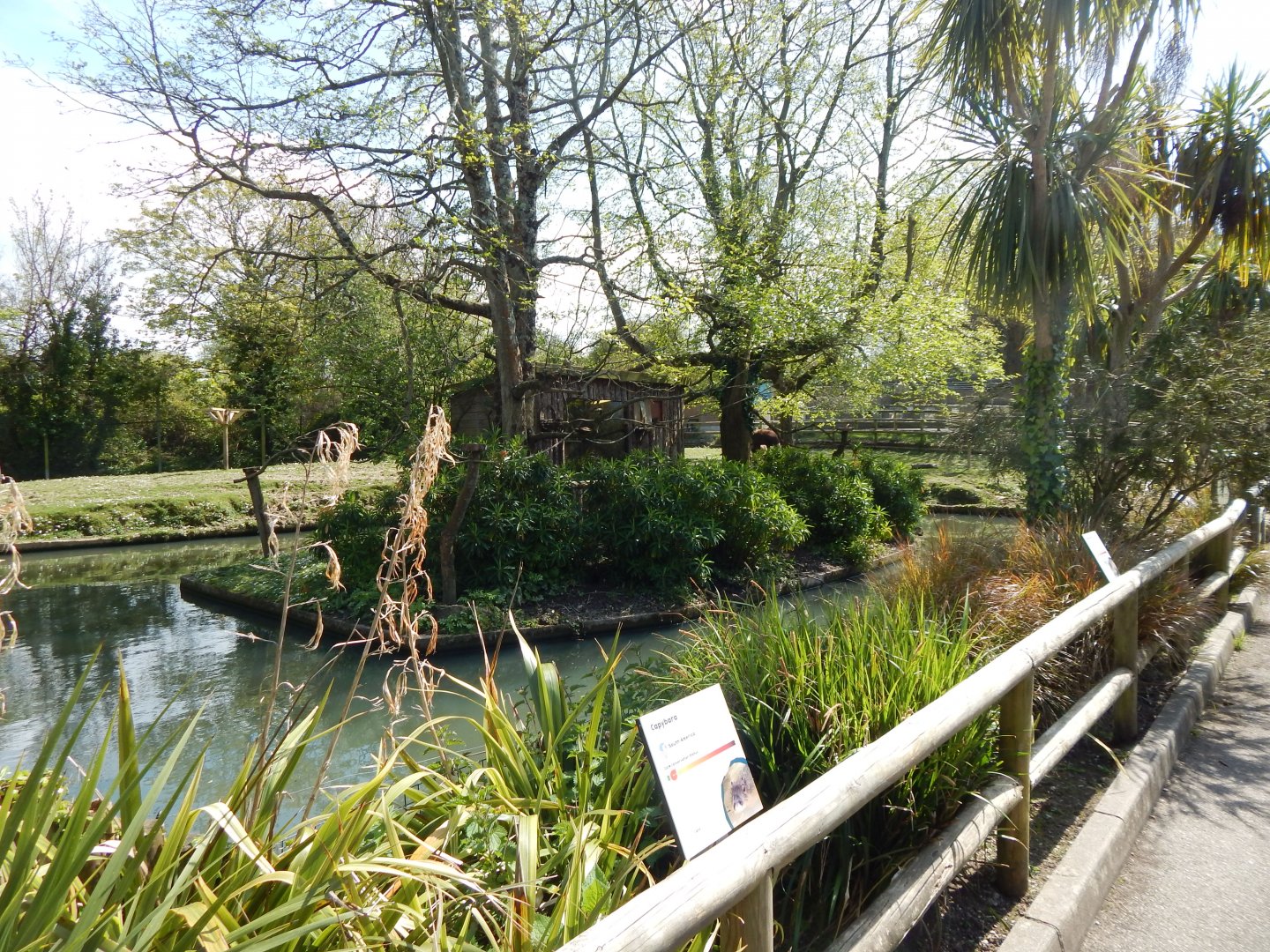 View towards exhibit for Pygmy marmosets/Red titi 240424