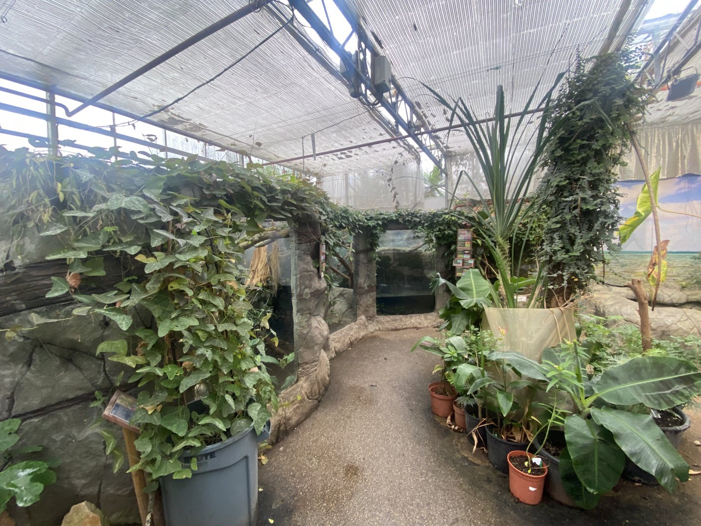 View towards exhibits 050924