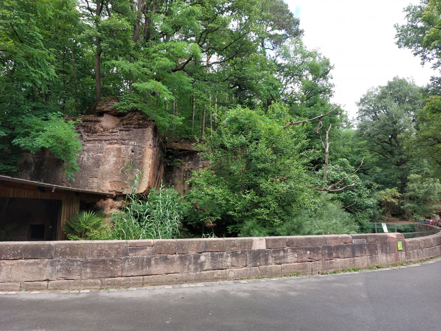 View towards fishing cat enclosure