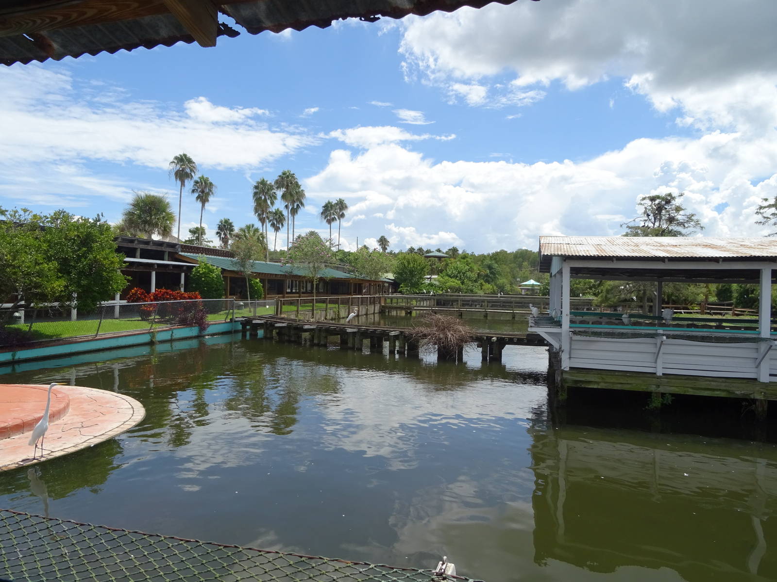 View Towards Flamingo Island at Gatorland