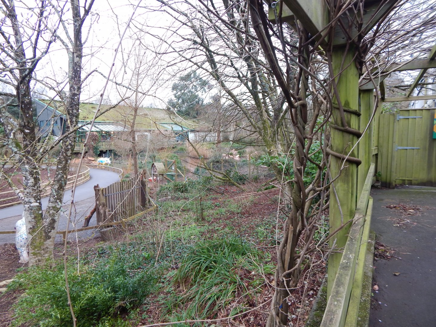 View towards Flamingos from walkway to Reptile Tropics 050224