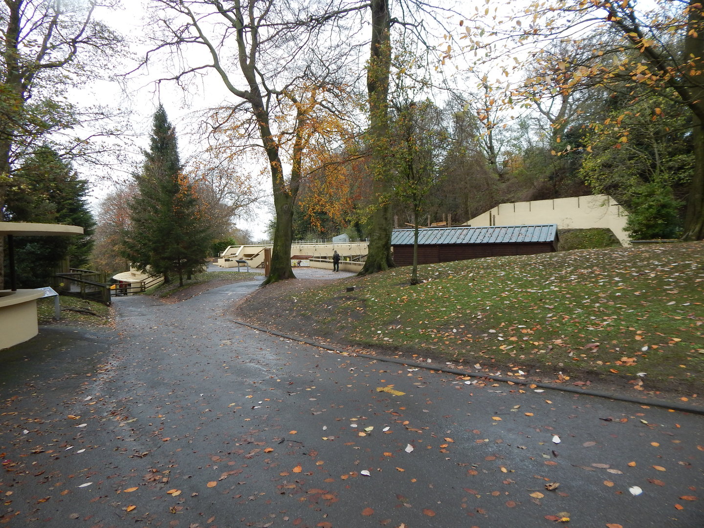View towards former big cat enclosures 241122