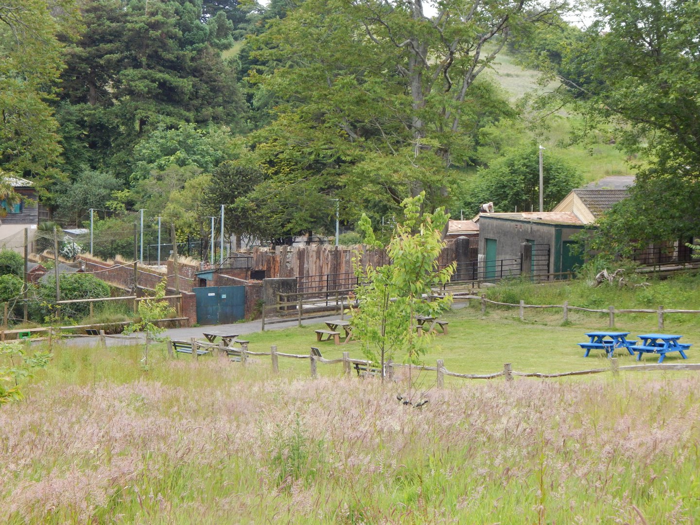 View towards former South American tapir exhibit 130624
