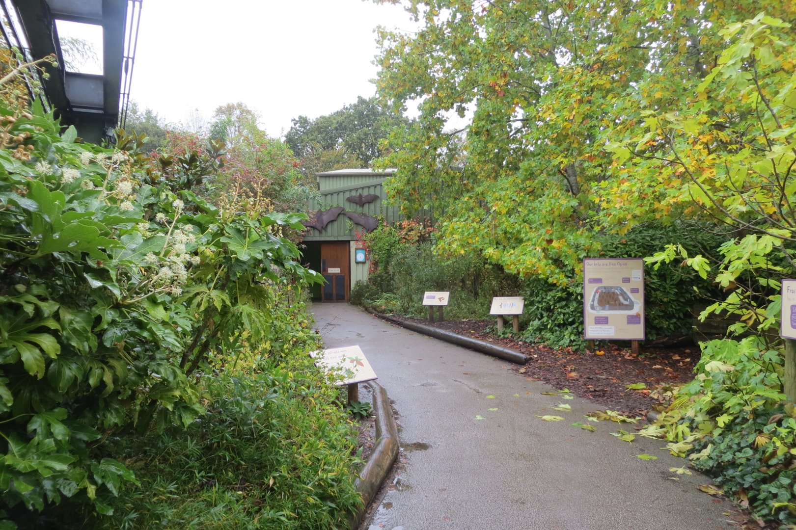 View towards Fruit Bat Forest 261019