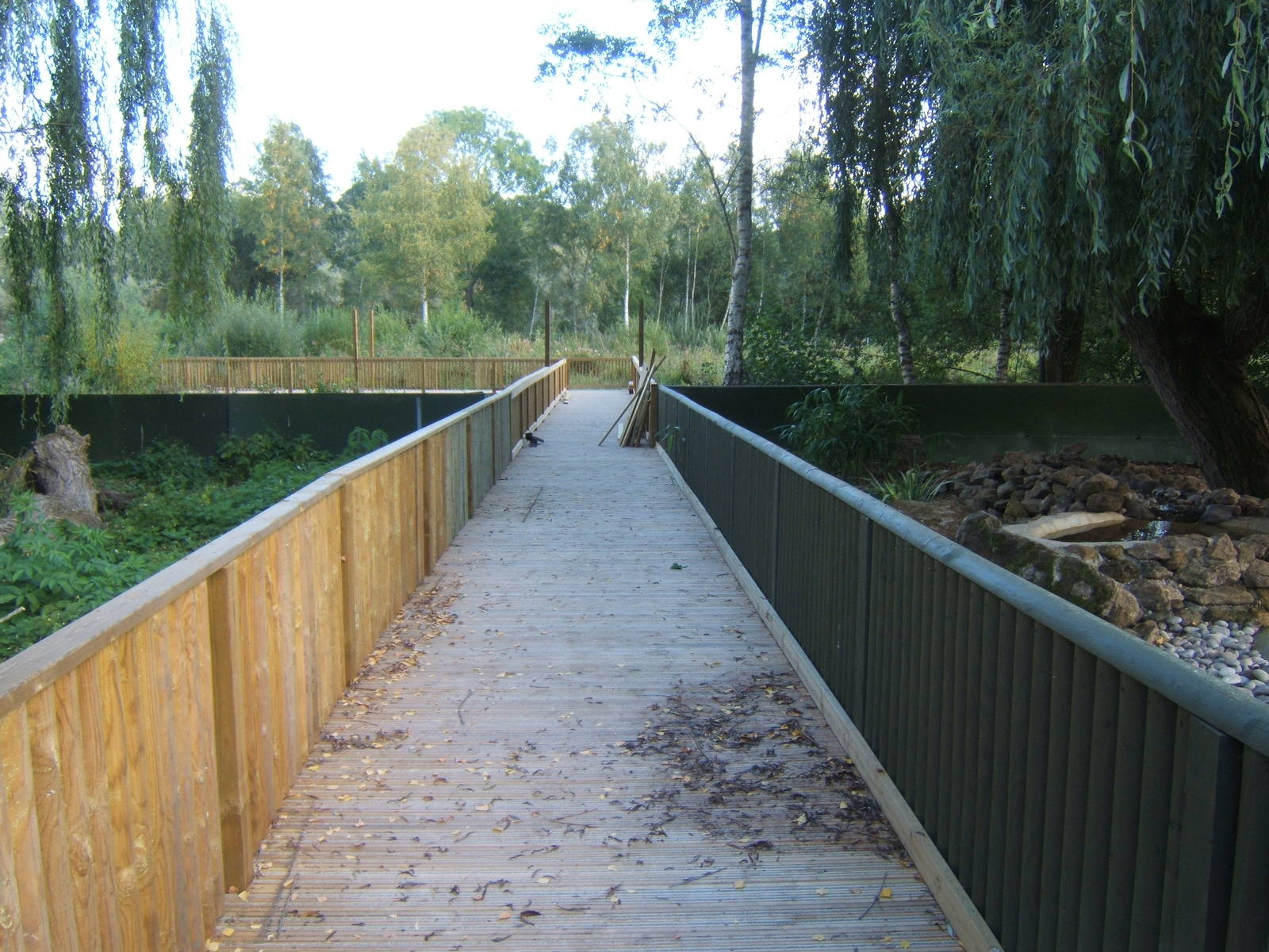 View towards future Wetlands walk