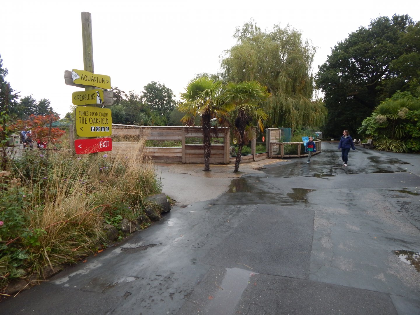 View towards Giant otter exhibit 181021