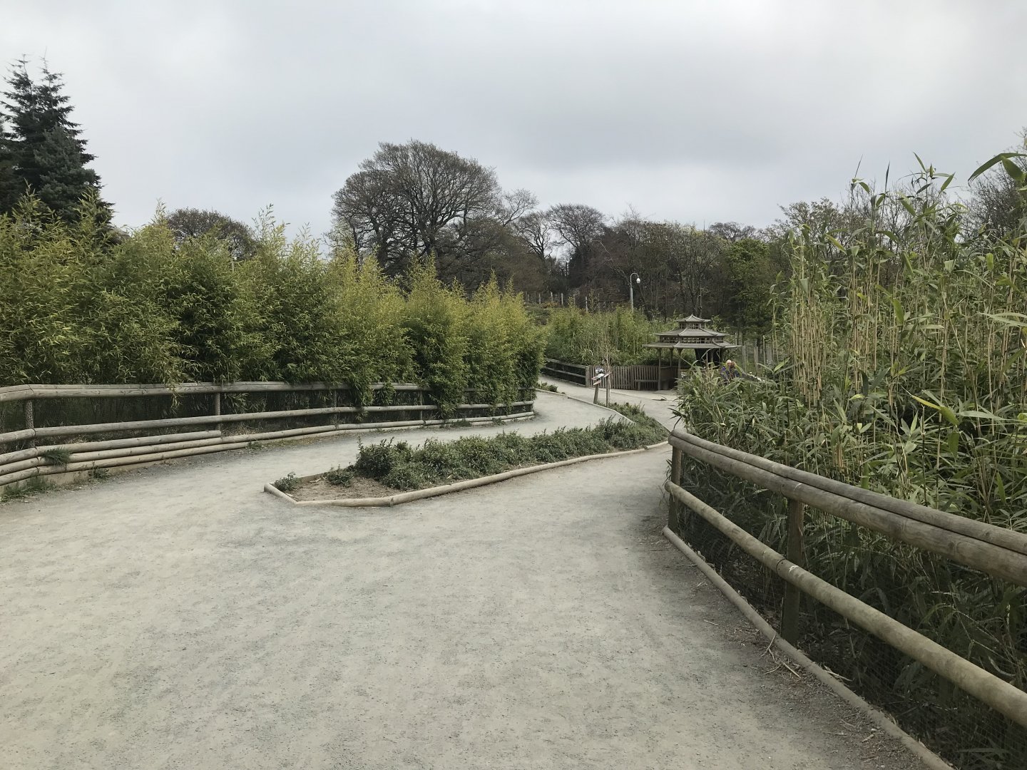 View towards giant panda enclosures