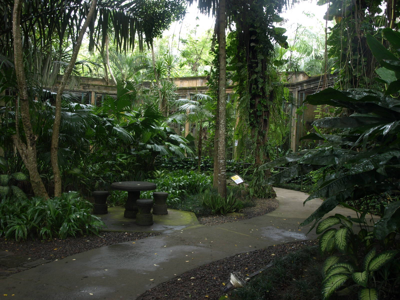 View towards gibbon cages