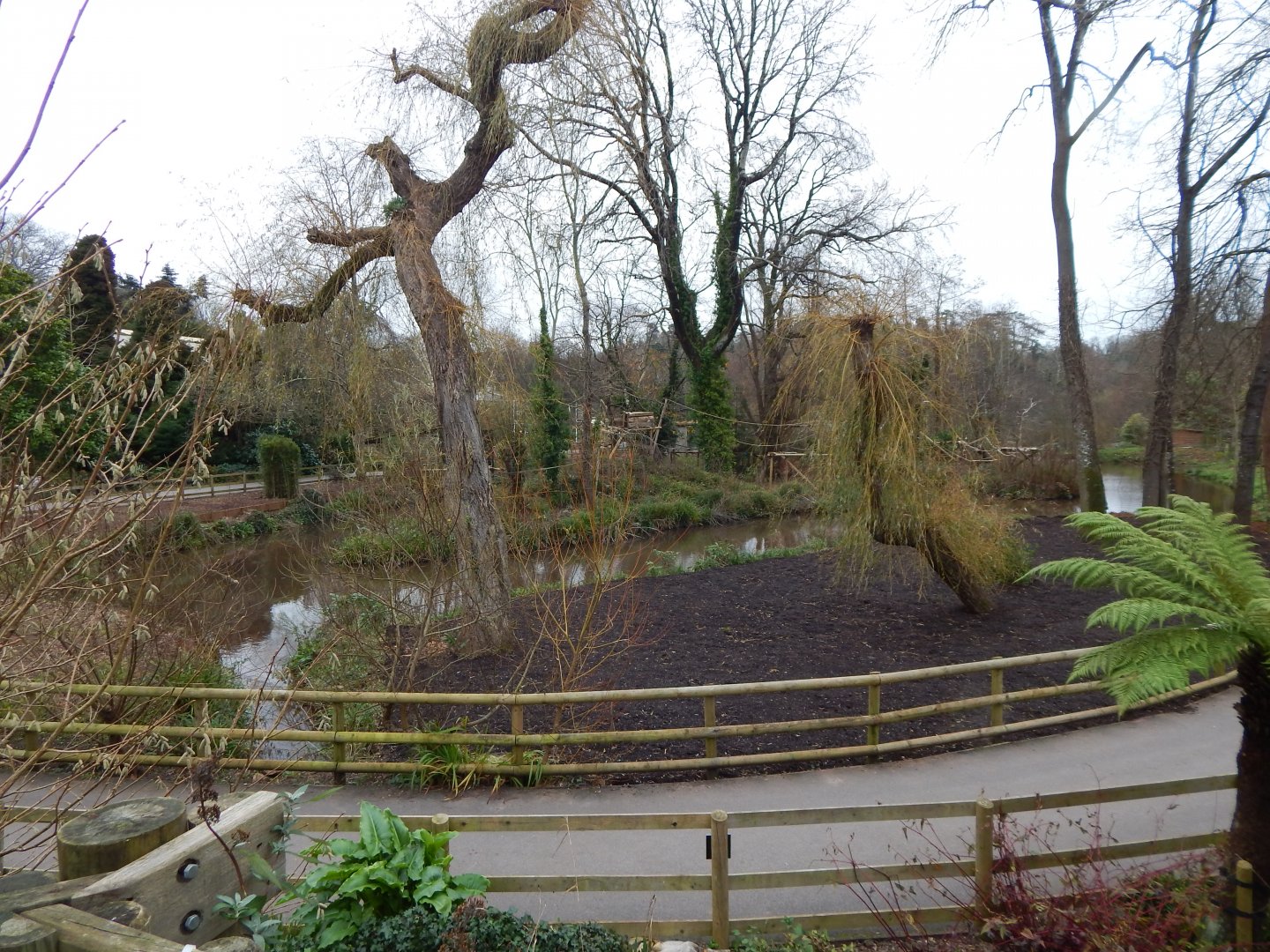 View towards gibbon/Howler monkey islands 111224
