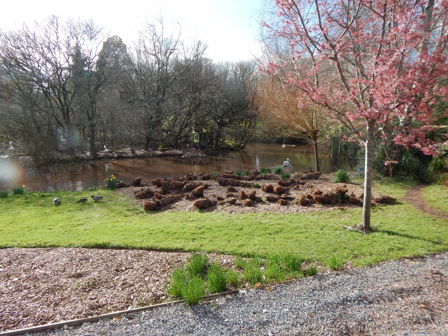 View towards Gibbon Island 240222