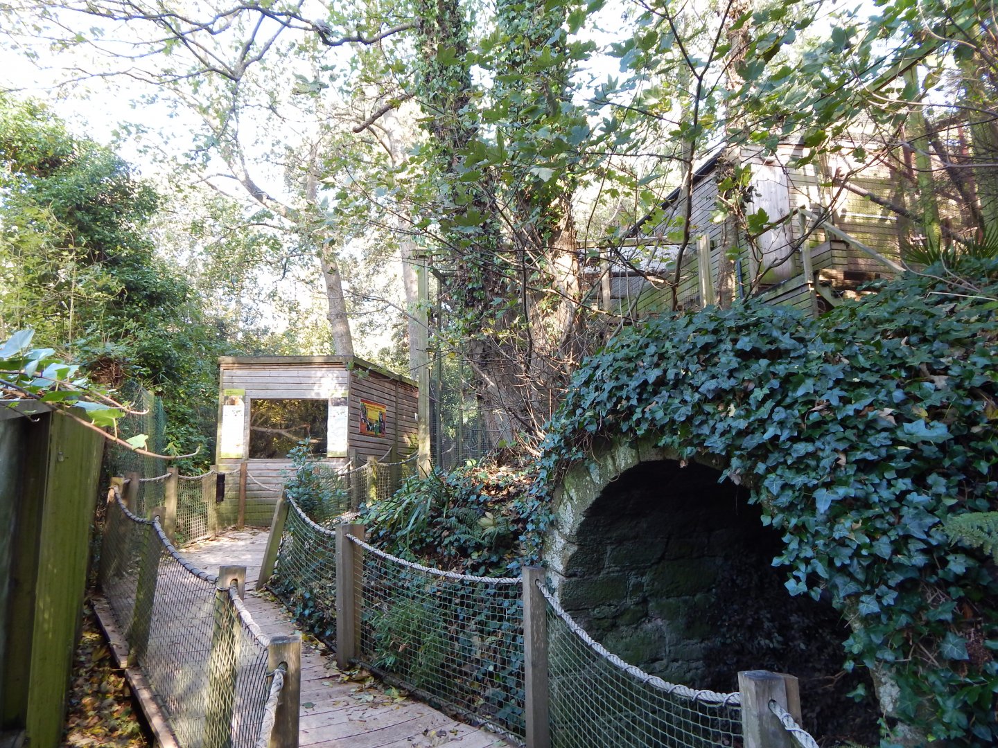 View towards Golden lion tamarin/Pygmy marmoset enclosure 021120