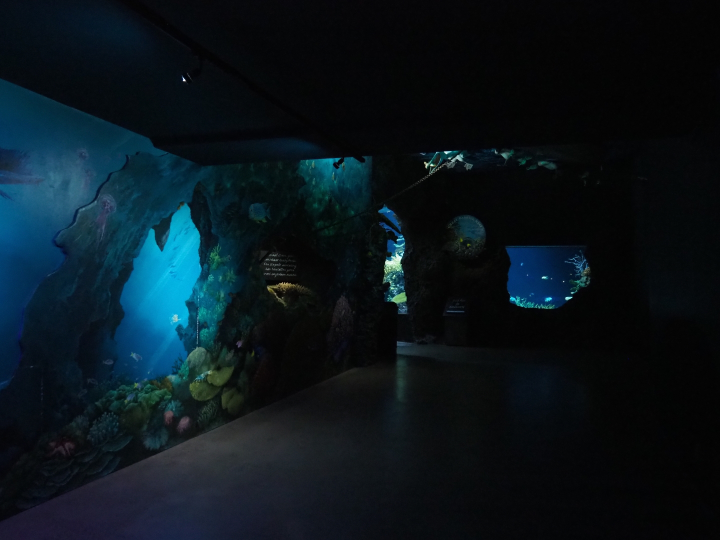 View towards Great Barrier Reef section with theming (Nov 10th, 2018)