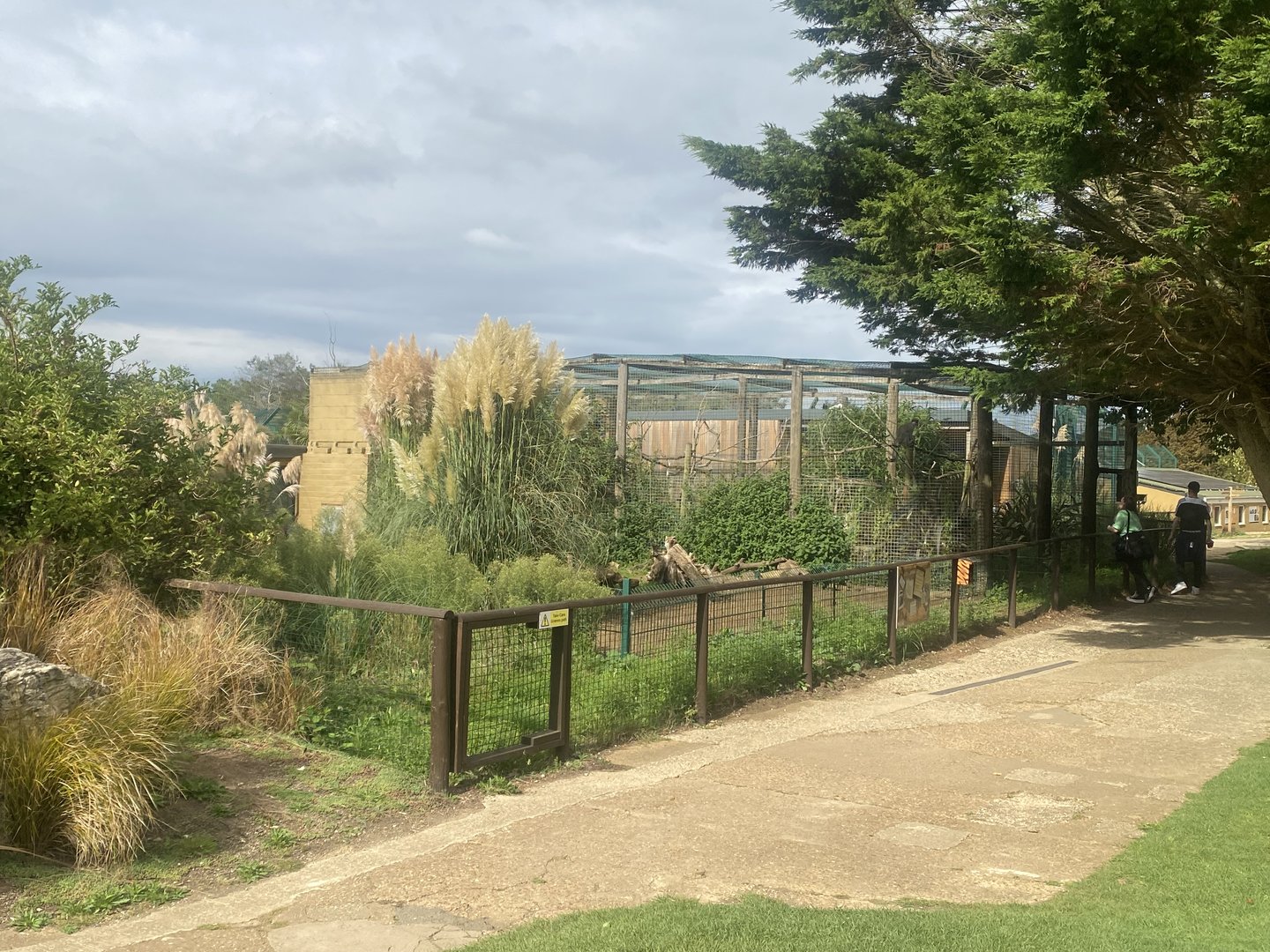 View towards Grivet enclosure 130923