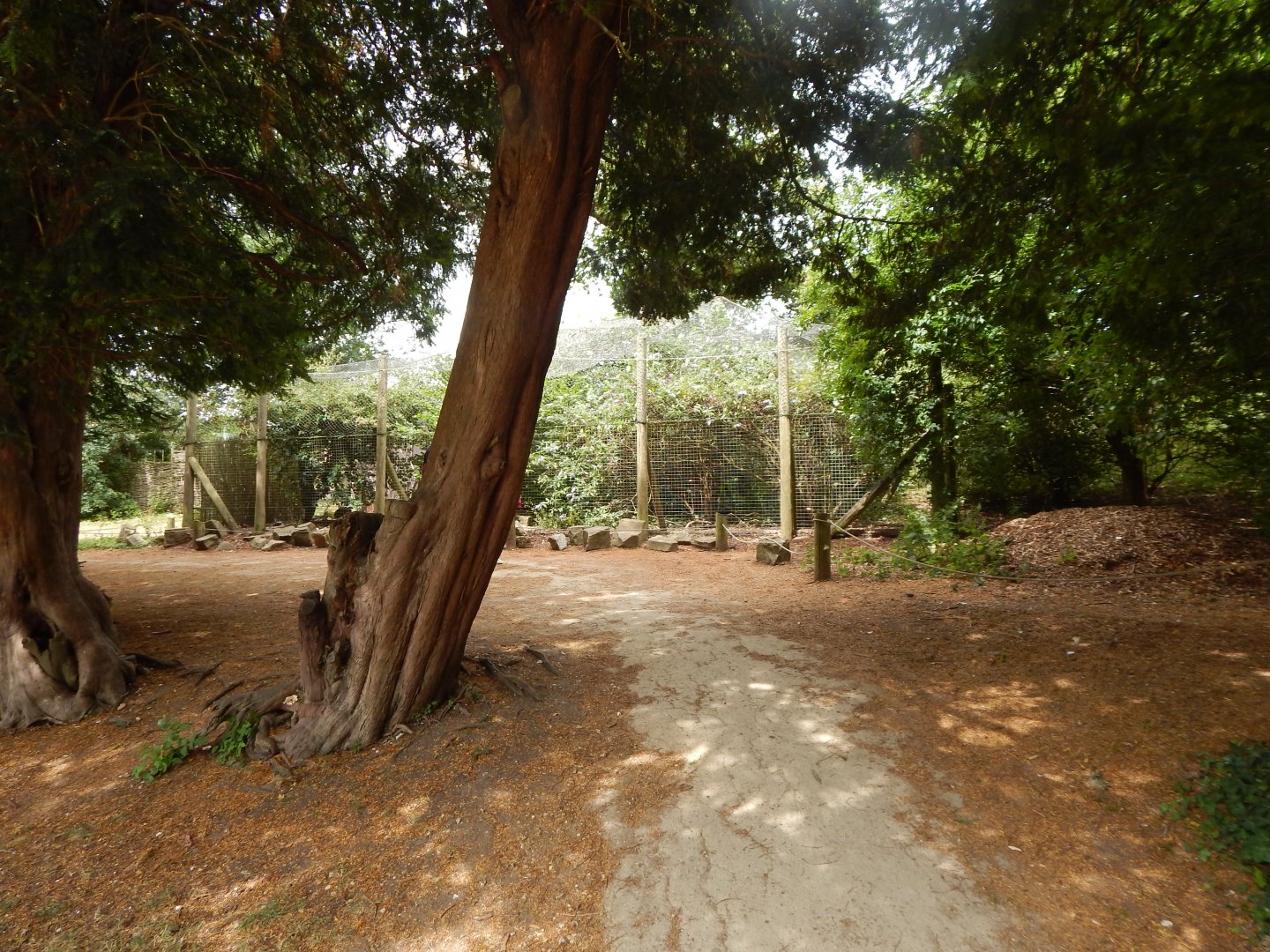 View towards Himalayan monal aviary 150725