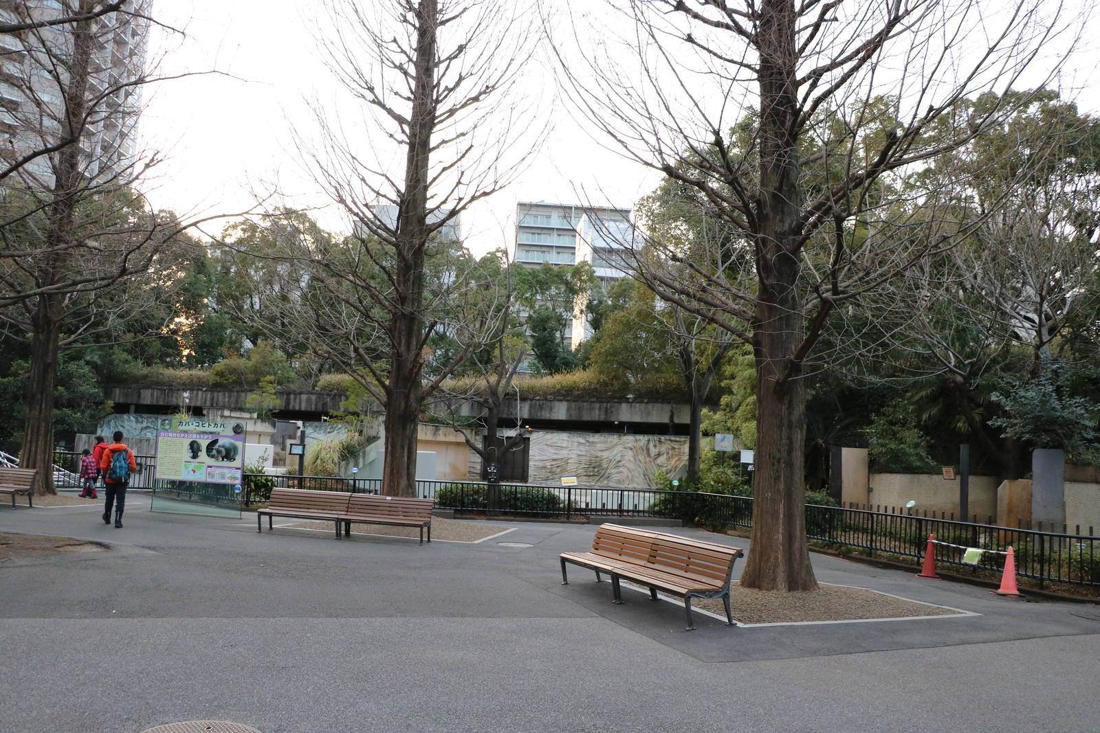 View towards hippo enclosures, February 2016