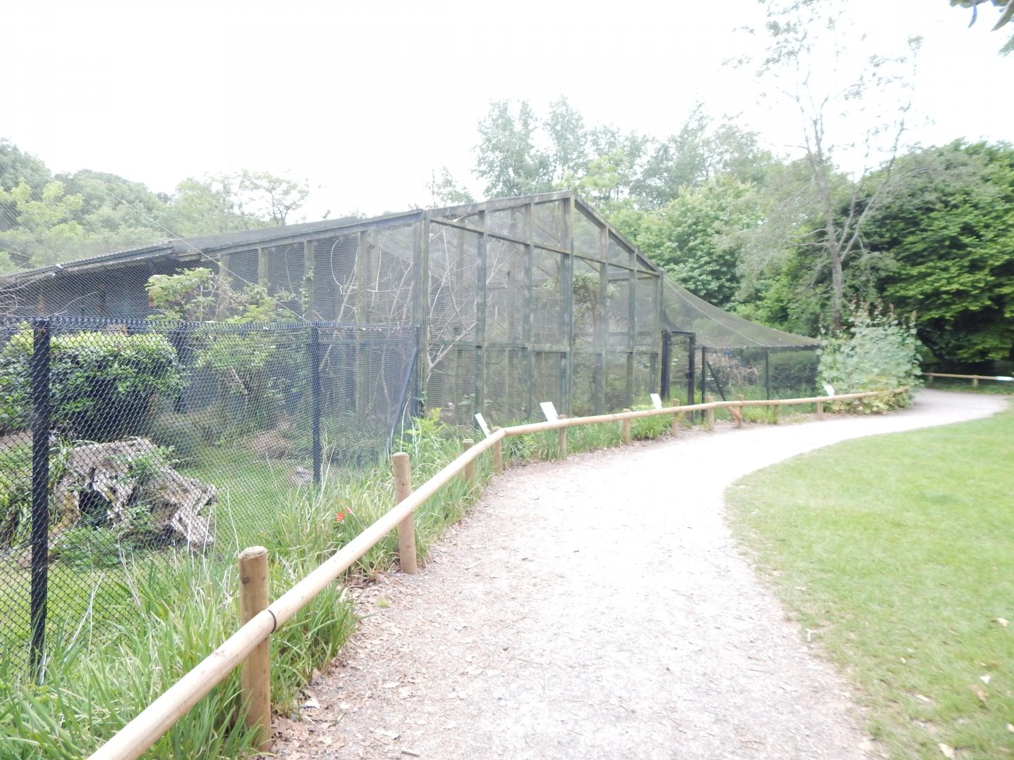 View towards hornbill exhibits 130624