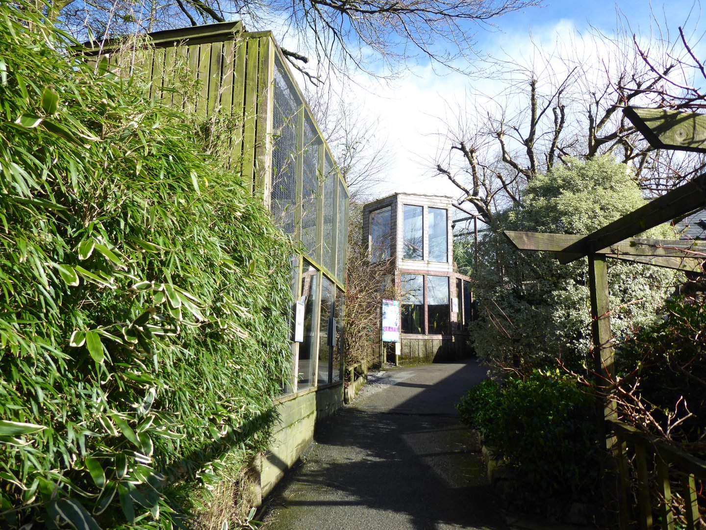 View towards Howler monkey enclosure 040319