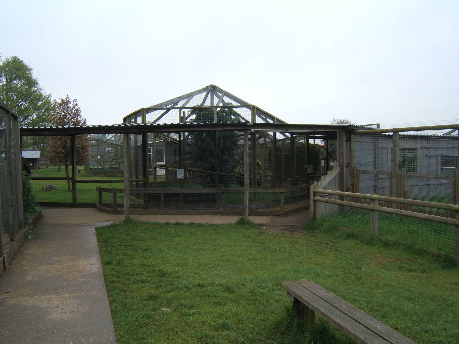 View towards Jaguarundi enclosure
