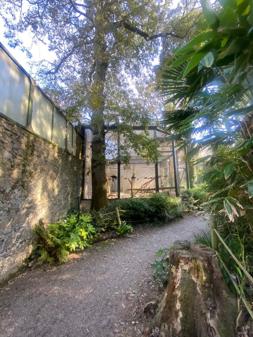 View towards Kea aviary 081023