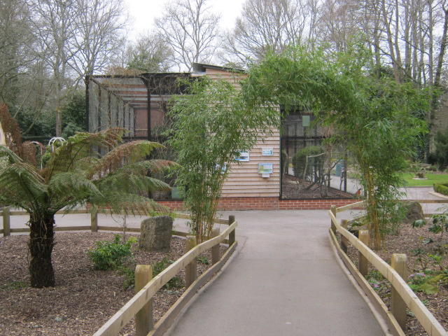 View towards large Hornbill aviaries.