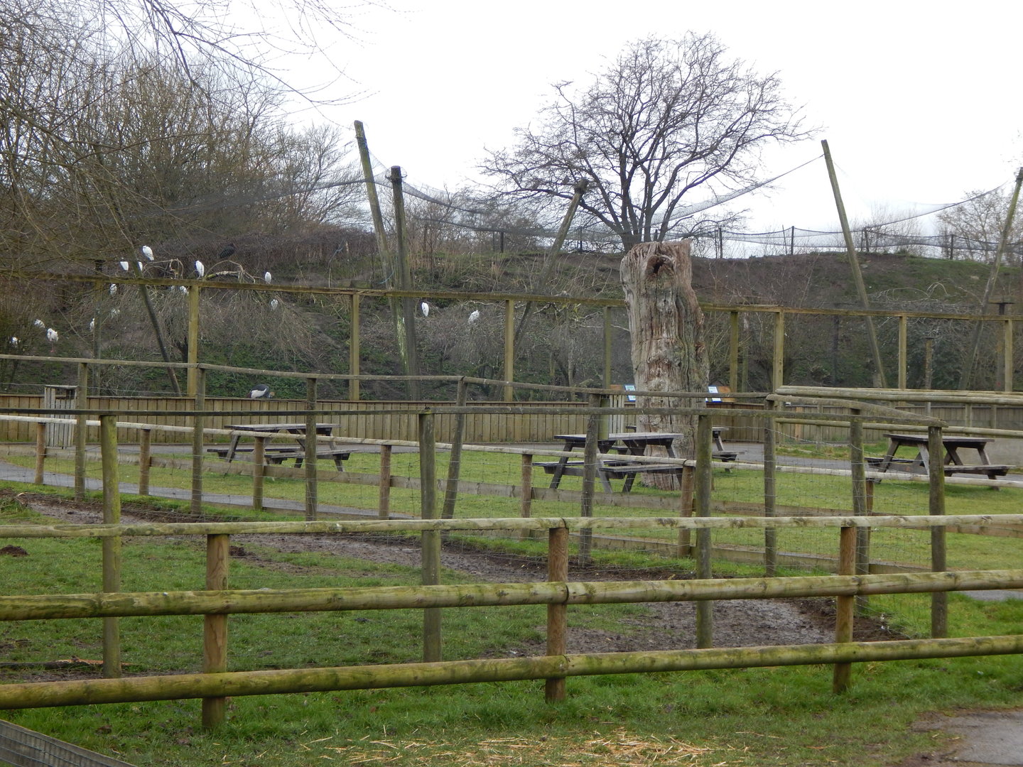 View towards Large wading bird aviary 010323