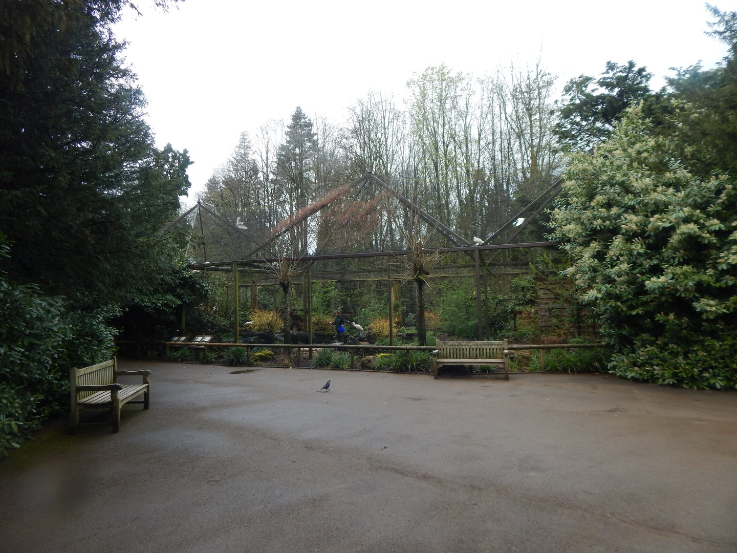 View towards Large wading bird aviary 280423