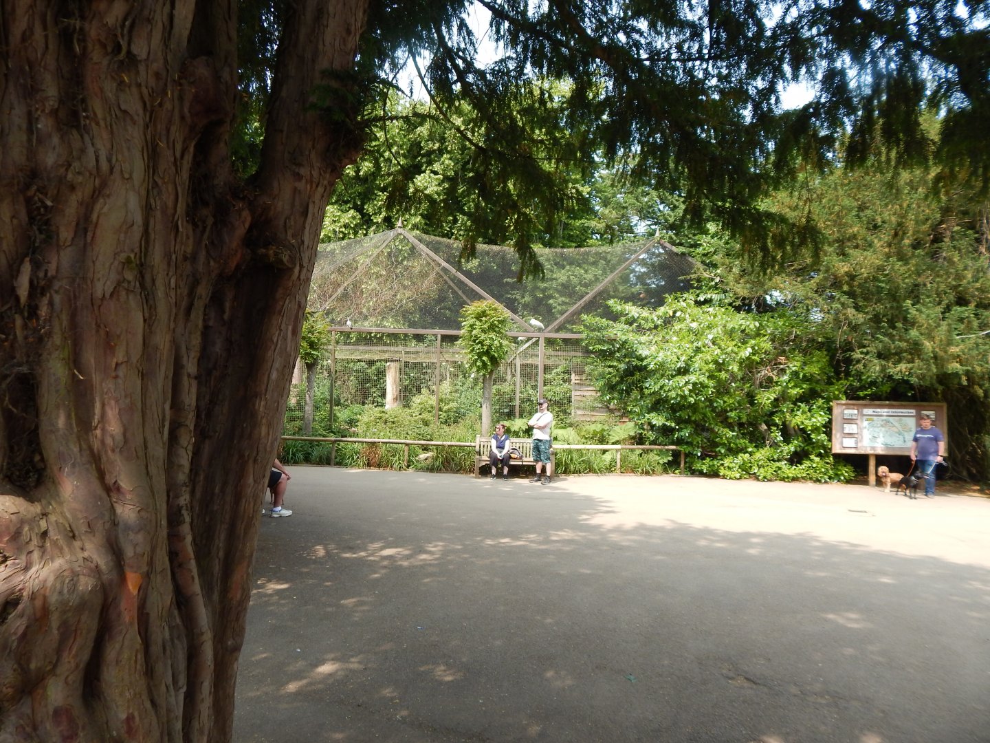 View towards large wading birds aviary 310525