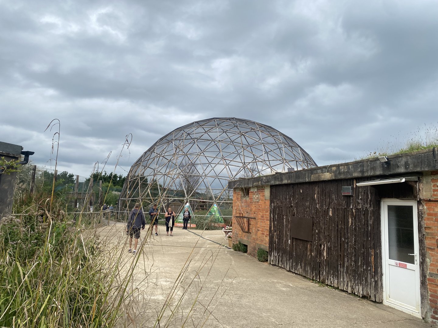 View towards larger lemur dome 130923