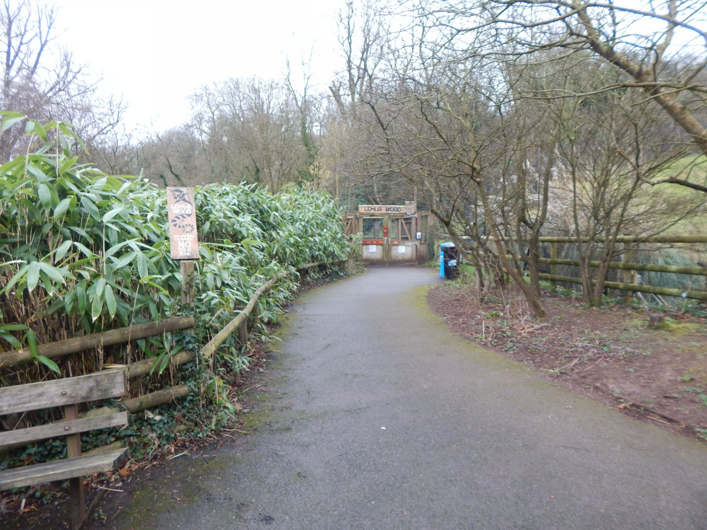 View towards Lemur Wood 050224