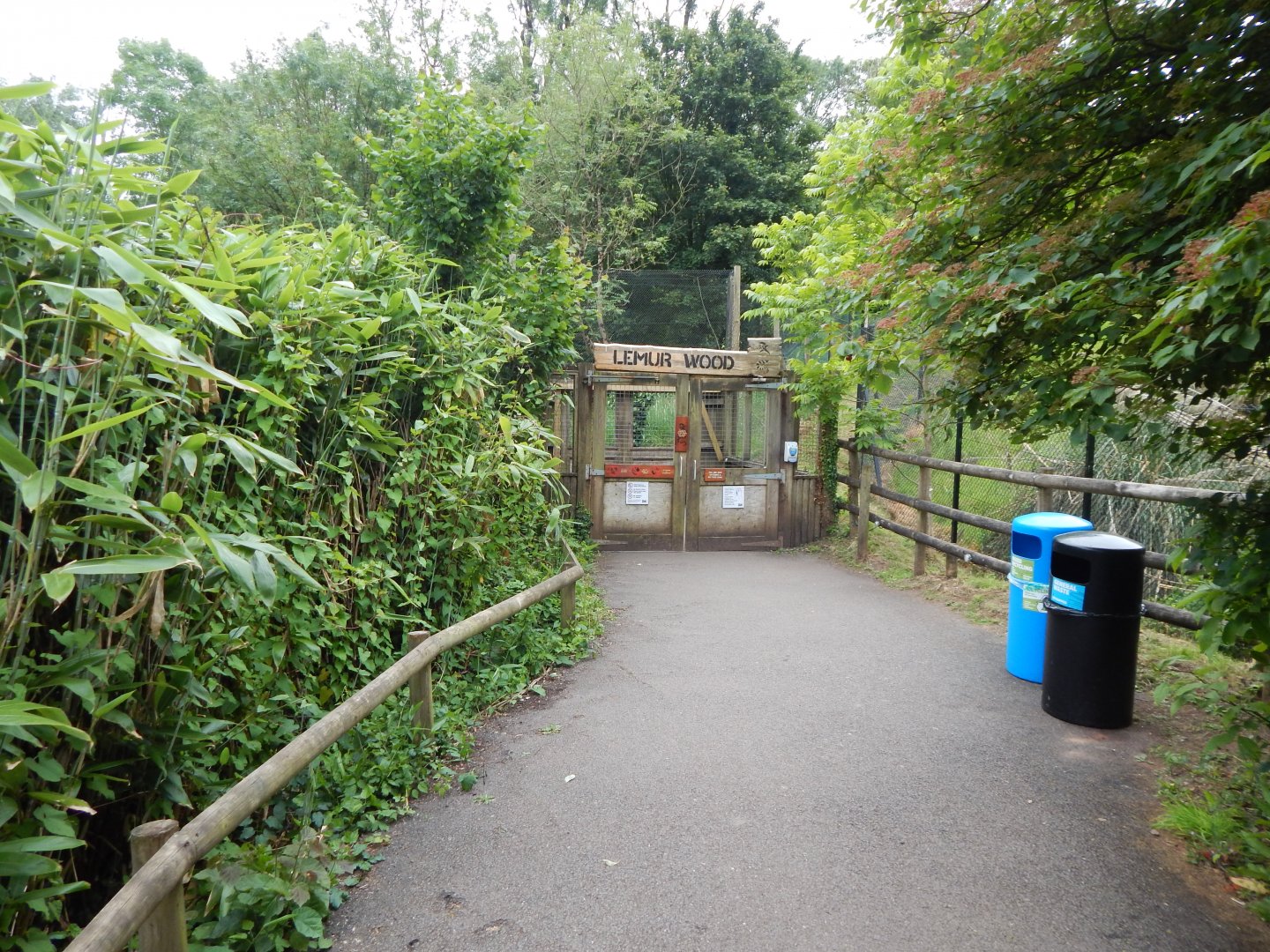 View towards Lemur Wood 130624