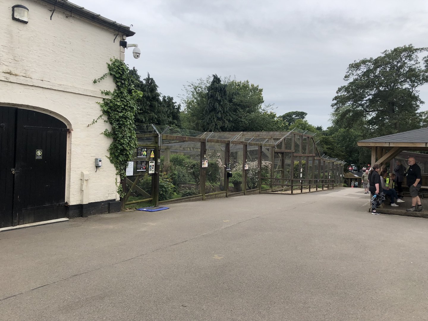 View Towards Lemurs and Pheasants at Sewerby Zoo (June 2023)