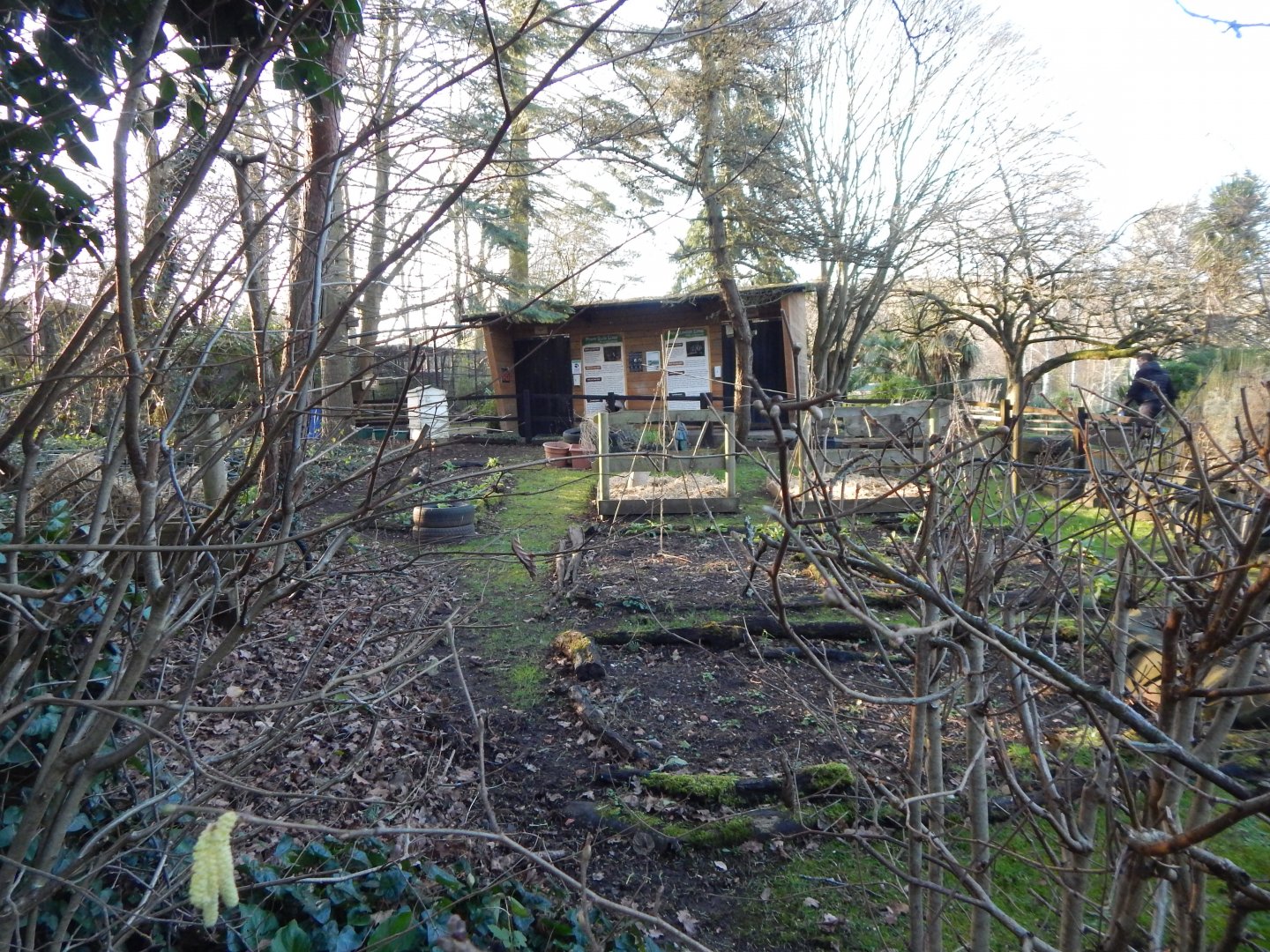 View towards Loris enclosures 260124